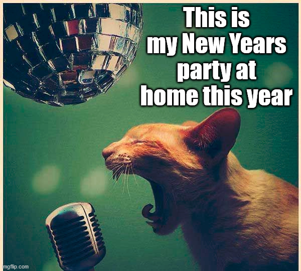 This is my New Years party at home this year | image tagged in cats | made w/ Imgflip meme maker