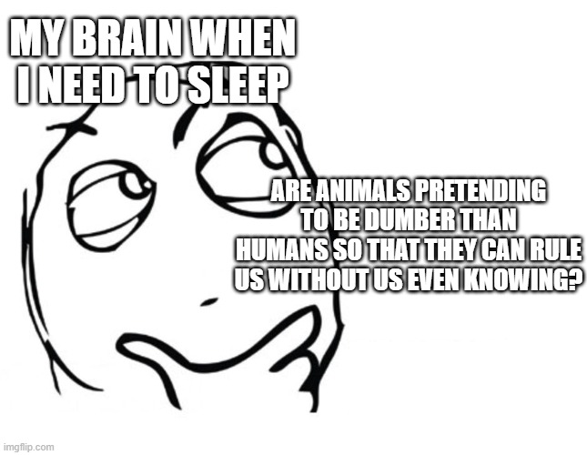 Brain when you need to sleep | MY BRAIN WHEN I NEED TO SLEEP; ARE ANIMALS PRETENDING TO BE DUMBER THAN HUMANS SO THAT THEY CAN RULE US WITHOUT US EVEN KNOWING? | image tagged in hmmm,meme | made w/ Imgflip meme maker