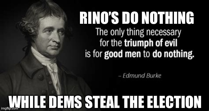 Not so good people doing nothing | RINO’S DO NOTHING; WHILE DEMS STEAL THE ELECTION | image tagged in edmund burke,cheaters,voter fraud | made w/ Imgflip meme maker