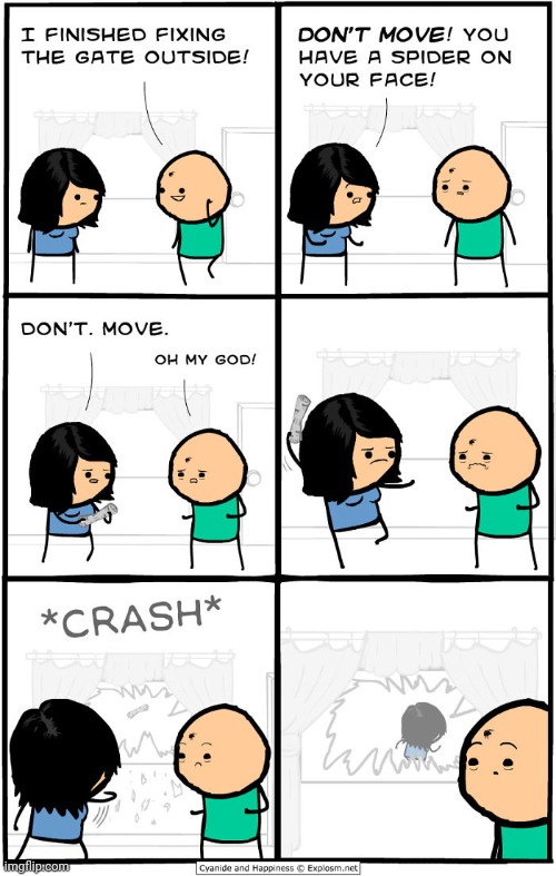 Spider | image tagged in spider,cyanide and happiness,comics/cartoons,comic,comics,crash | made w/ Imgflip meme maker