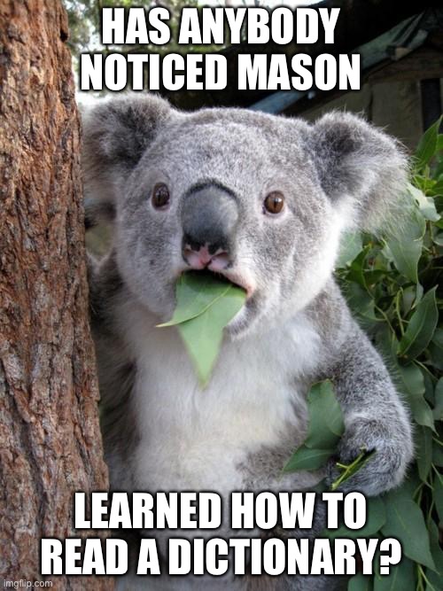 Surprised Koala | HAS ANYBODY NOTICED MASON; LEARNED HOW TO READ A DICTIONARY? | image tagged in memes,surprised koala | made w/ Imgflip meme maker