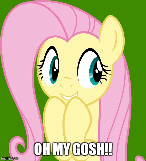 Surprised Fluttershy (MLP) | OH MY GOSH!! | image tagged in surprised fluttershy mlp | made w/ Imgflip meme maker