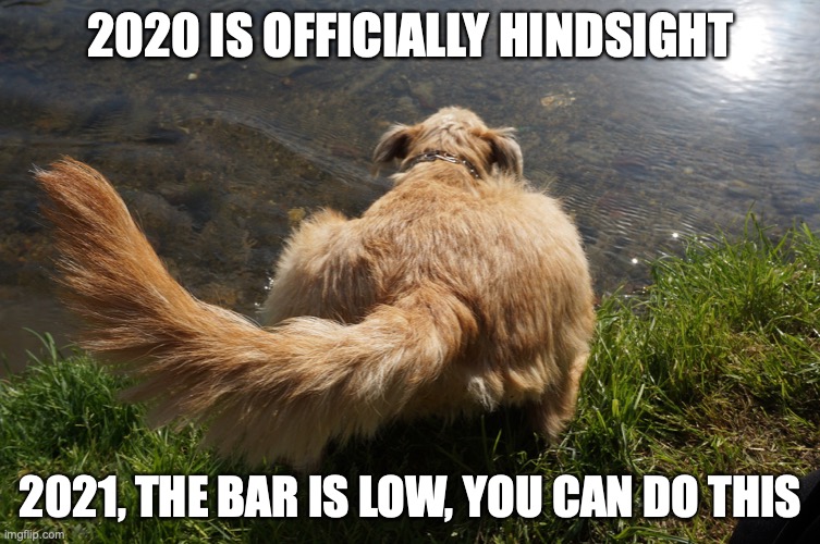 2020 is Hindsight | 2020 IS OFFICIALLY HINDSIGHT; 2021, THE BAR IS LOW, YOU CAN DO THIS | image tagged in hindsight,2020 sucks | made w/ Imgflip meme maker