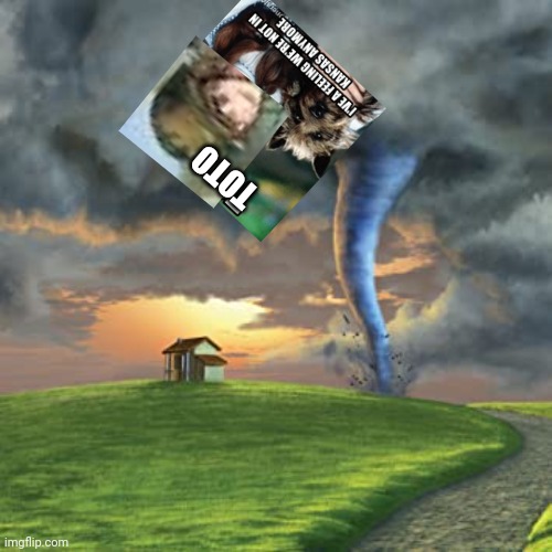 TOTO | made w/ Imgflip meme maker