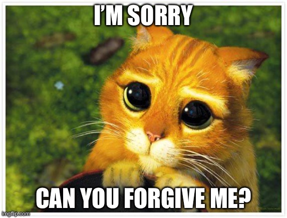 I’m sorry | I’M SORRY; CAN YOU FORGIVE ME? | image tagged in sorry kitty | made w/ Imgflip meme maker