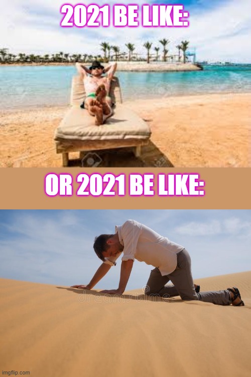 Which one is more likely to be true? | 2021 BE LIKE:; OR 2021 BE LIKE: | image tagged in beach,2021 | made w/ Imgflip meme maker