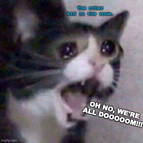 When your class have a test and the one smart kid started crying! | The other kid in the room. OH NO, WE'RE ALL DOOOOOM!!! | image tagged in cat screaming,school,doom,tests,oh no,cats | made w/ Imgflip meme maker