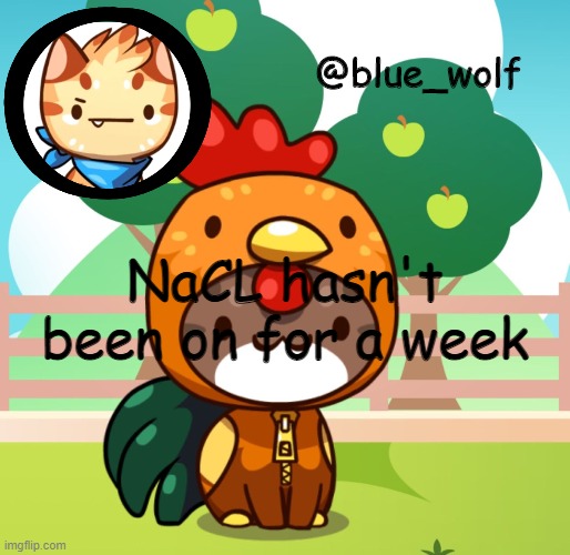 I'm officially screaming inside. | NaCL hasn't been on for a week | image tagged in blue wolfs announcement thing | made w/ Imgflip meme maker