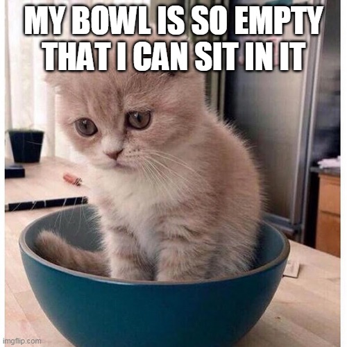 How empty is the bowl | MY BOWL IS SO EMPTY THAT I CAN SIT IN IT | image tagged in sad kitten in food bowl,kitten,memes,sad | made w/ Imgflip meme maker