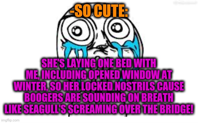 -Pretty smile. | -SO CUTE:; SHE'S LAYING ONE BED WITH ME, INCLUDING OPENED WINDOW AT WINTER, SO HER LOCKED NOSTRILS CAUSE BOOGERS ARE SOUNDING ON BREATH LIKE SEAGULL'S SCREAMING OVER THE BRIDGE! | image tagged in memes,crying because of cute,sleeping beauty,gf,seagull,london bridge | made w/ Imgflip meme maker
