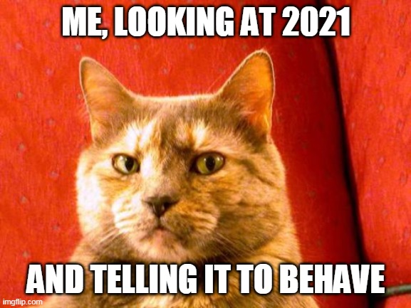 Here's looking at 2021 |  ME, LOOKING AT 2021; AND TELLING IT TO BEHAVE | image tagged in memes,suspicious cat,2021,happy new year,new year | made w/ Imgflip meme maker