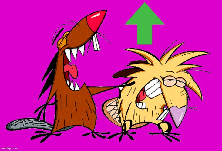 angry beavers | image tagged in angry beavers | made w/ Imgflip meme maker
