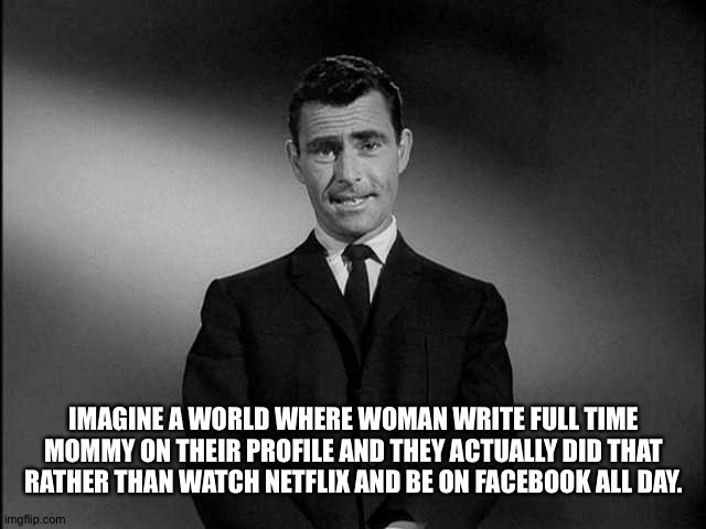 rod serling twilight zone | IMAGINE A WORLD WHERE WOMAN WRITE FULL TIME MOMMY ON THEIR PROFILE AND THEY ACTUALLY DID THAT RATHER THAN WATCH NETFLIX AND BE ON FACEBOOK ALL DAY. | image tagged in rod serling twilight zone | made w/ Imgflip meme maker