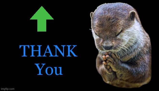 thank you | image tagged in thank you | made w/ Imgflip meme maker