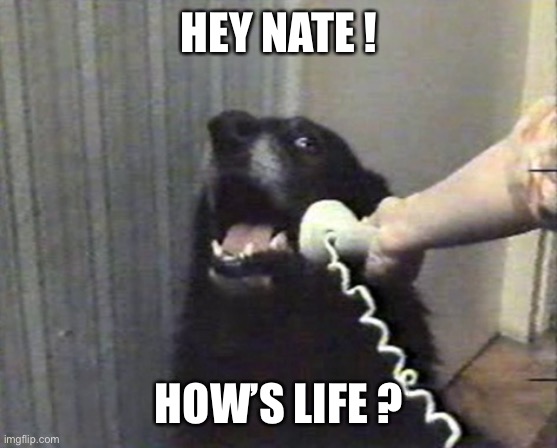 Your turn, it’s a rap song ! | HEY NATE ! HOW’S LIFE ? | image tagged in hello this is dog,memes,rap,hey | made w/ Imgflip meme maker