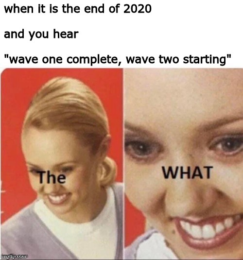that was not it? | when it is the end of 2020
 
and you hear 
 
"wave one complete, wave two starting" | image tagged in 2020,wait what,memes,funny,2021 | made w/ Imgflip meme maker
