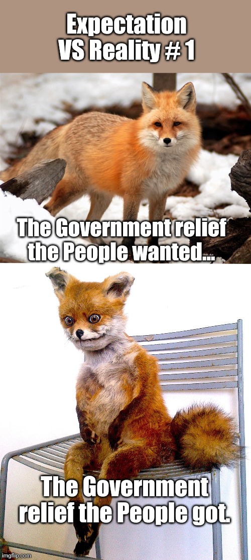 Expectations VS Reality # 1 of ?? |  Expectation VS Reality # 1; The Government relief the People wanted... The Government relief the People got. | image tagged in covid-19,big government,stimulus | made w/ Imgflip meme maker