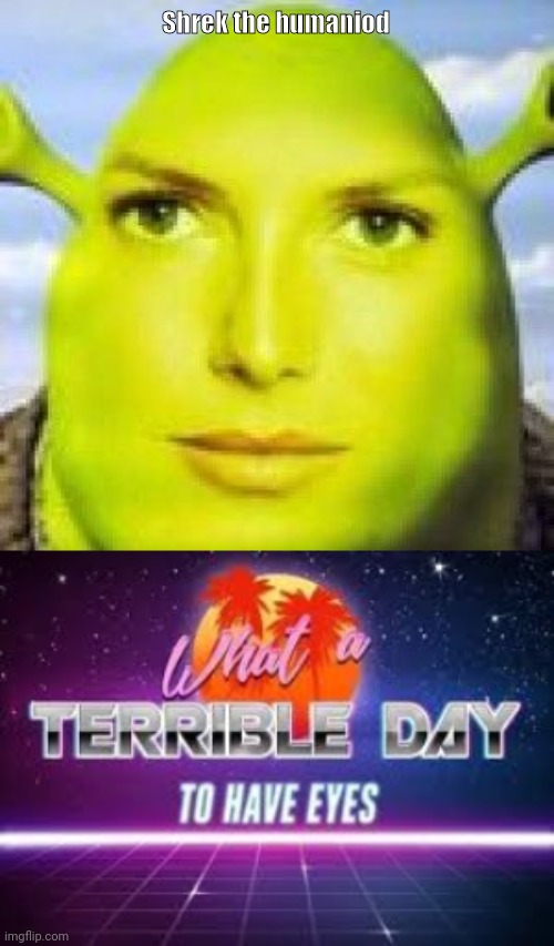 Shrek the humaniod | image tagged in what a terrible day to have eyes | made w/ Imgflip meme maker