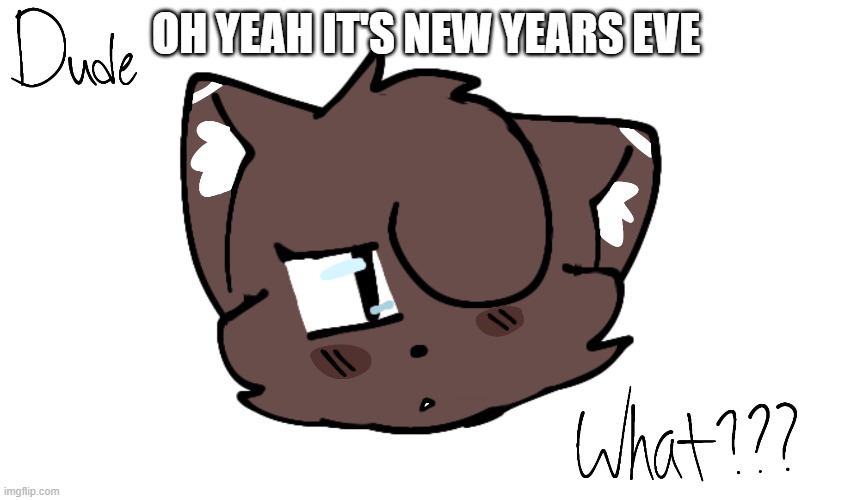 Bruh | OH YEAH IT'S NEW YEARS EVE | image tagged in bruh | made w/ Imgflip meme maker