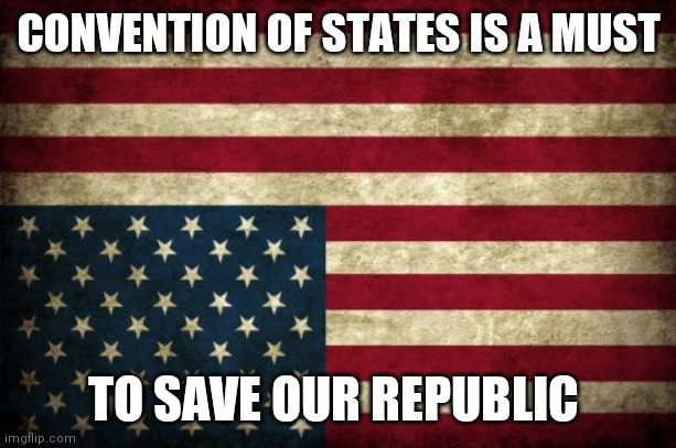 Upside down flag | CONVENTION OF STATES IS A MUST; TO SAVE OUR REPUBLIC | image tagged in upside down flag | made w/ Imgflip meme maker