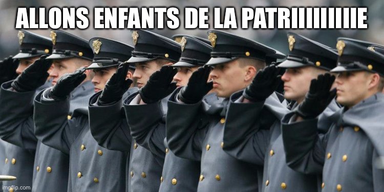 Military Salute | ALLONS ENFANTS DE LA PATRIIIIIIIIIE | image tagged in military salute | made w/ Imgflip meme maker