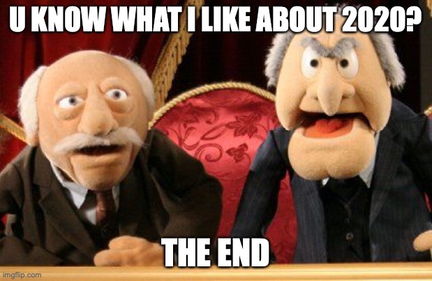BYE 2020 |  U KNOW WHAT I LIKE ABOUT 2020? THE END | image tagged in statler and waldorf,muppets,2020,2021,happy new year,new years eve | made w/ Imgflip meme maker