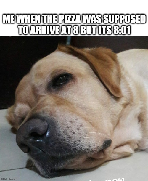 ughhhh wheres the pizzaaaa | ME WHEN THE PIZZA WAS SUPPOSED TO ARRIVE AT 8 BUT ITS 8:01 | image tagged in memes,funny,doge | made w/ Imgflip meme maker