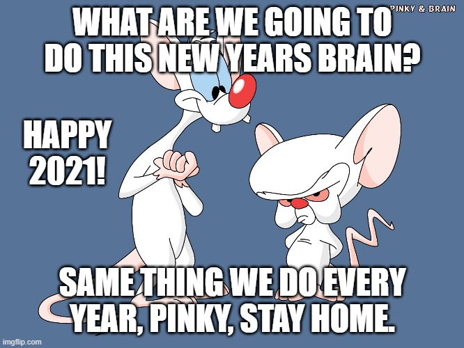 Happy New Year | WHAT ARE WE GOING TO DO THIS NEW YEARS BRAIN? HAPPY 2021! SAME THING WE DO EVERY YEAR, PINKY, STAY HOME. | image tagged in happy new year,pinky and the brain,2021 | made w/ Imgflip meme maker