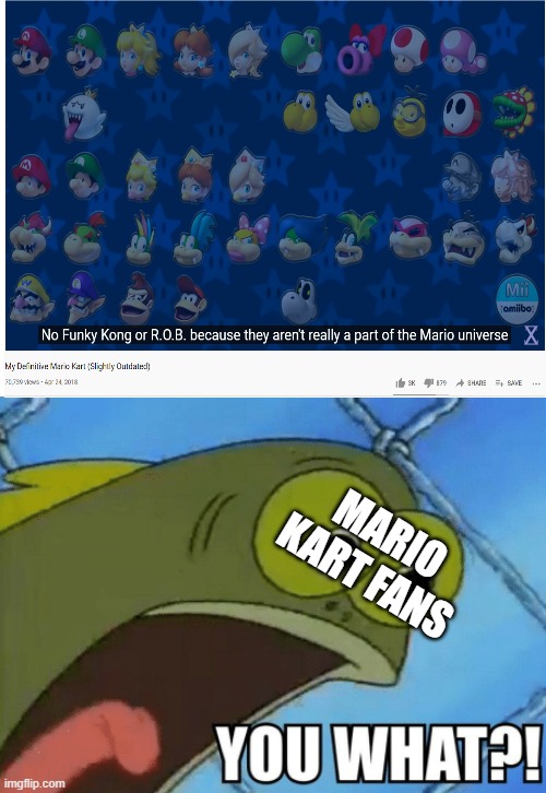 here comes the mariokart fans zoomzike | MARIO KART FANS | image tagged in you what | made w/ Imgflip meme maker