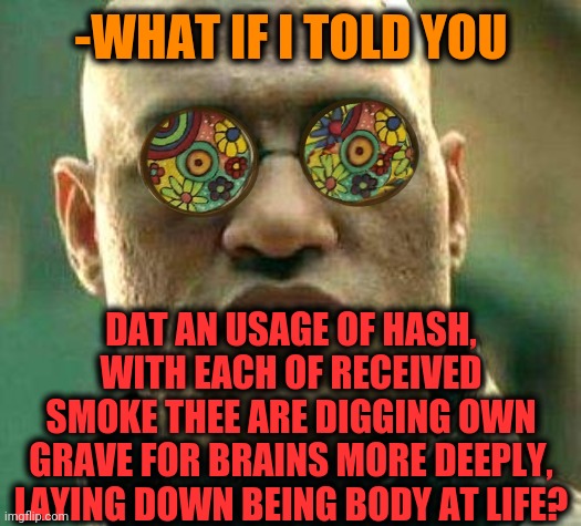 -Canopy spider. | -WHAT IF I TOLD YOU; DAT AN USAGE OF HASH, WITH EACH OF RECEIVED SMOKE THEE ARE DIGGING OWN GRAVE FOR BRAINS MORE DEEPLY, LAYING DOWN BEING BODY AT LIFE? | image tagged in acid kicks in morpheus,what if i told you,hashtag,smoke weed everyday,dead,brains | made w/ Imgflip meme maker