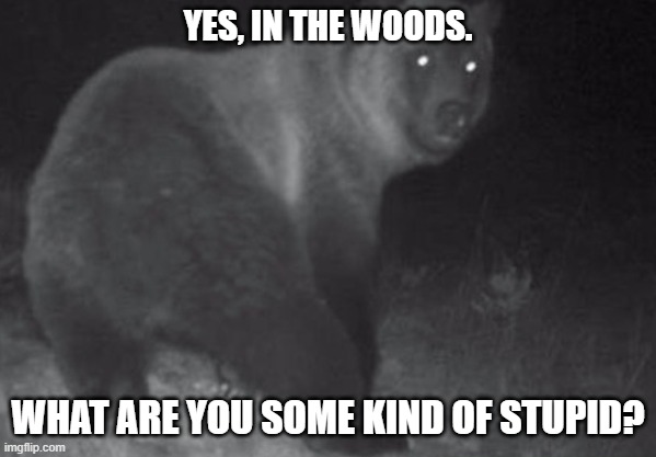 in the woods | YES, IN THE WOODS. WHAT ARE YOU SOME KIND OF STUPID? | image tagged in funny memes | made w/ Imgflip meme maker