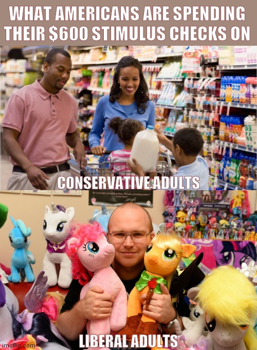 What Americans are spending their $600 Stimulus checks on |  WHAT AMERICANS ARE SPENDING THEIR $600 STIMULUS CHECKS ON; CONSERVATIVE ADULTS; LIBERAL ADULTS | image tagged in america,stimulus,conservatives,liberals,bronies,adults | made w/ Imgflip meme maker