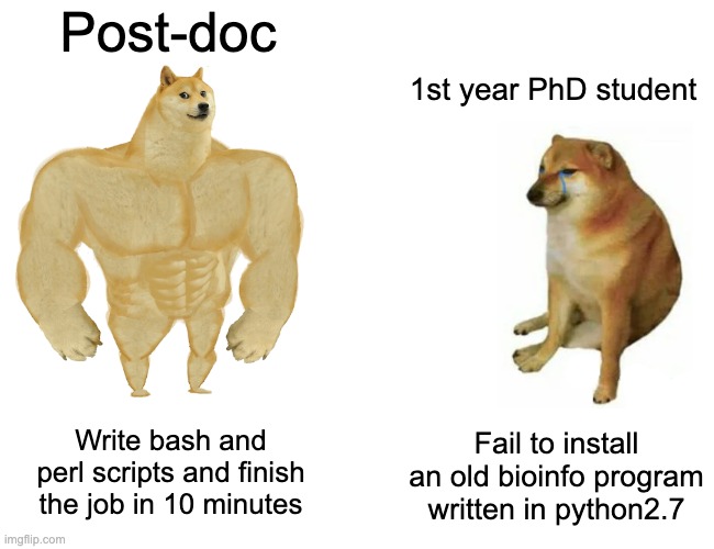 postdoc vs phd | Post-doc; 1st year PhD student; Fail to install an old bioinfo program written in python2.7; Write bash and perl scripts and finish the job in 10 minutes | image tagged in memes,buff doge vs cheems | made w/ Imgflip meme maker