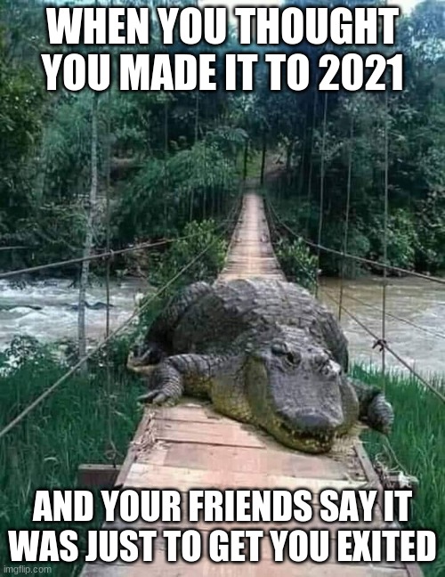 I think its happening to me yup | WHEN YOU THOUGHT YOU MADE IT TO 2021; AND YOUR FRIENDS SAY IT WAS JUST TO GET YOU EXITED | image tagged in chig bungus | made w/ Imgflip meme maker