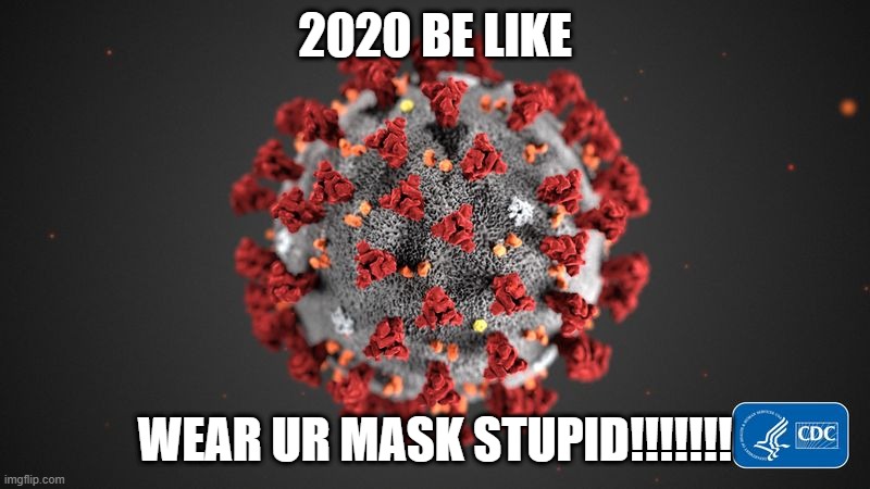 Covid 19 | 2020 BE LIKE; WEAR UR MASK STUPID!!!!!!! | image tagged in covid 19 | made w/ Imgflip meme maker
