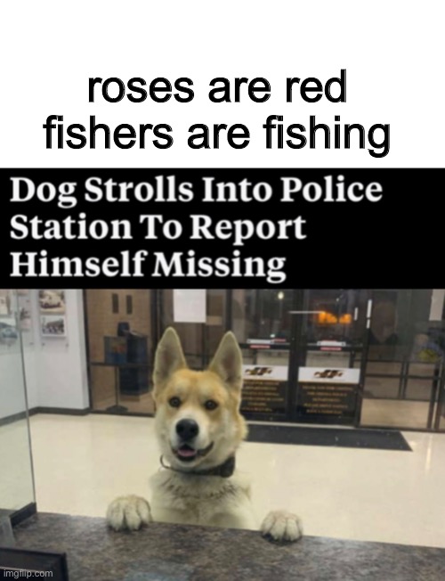 what a good boy | roses are red
fishers are fishing | image tagged in blank white template,funny,memes,funny memes,dogs,roses are red | made w/ Imgflip meme maker