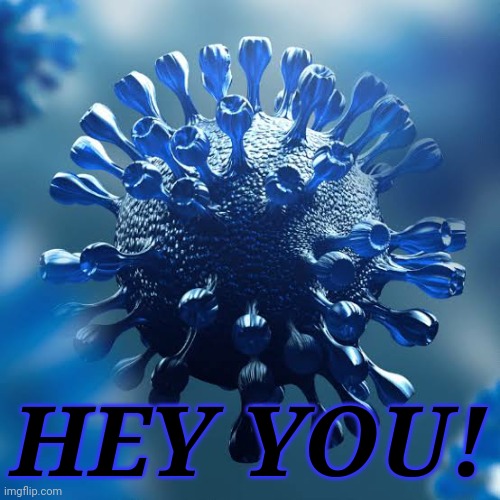 HEY YOU! | image tagged in covid-20 | made w/ Imgflip meme maker