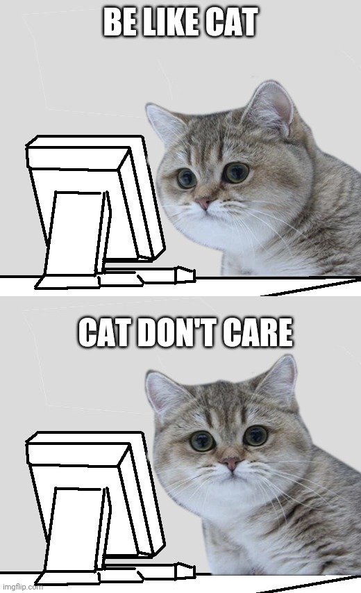 Wut?Hai,Nope! | BE LIKE CAT CAT DON'T CARE | image tagged in wut hai nope | made w/ Imgflip meme maker