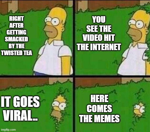 Twisted Tea | YOU SEE THE VIDEO HIT THE INTERNET; RIGHT AFTER GETTING SMACKED BY THE TWISTED TEA; HERE COMES THE MEMES; IT GOES VIRAL.. | image tagged in homer simpson in bush - large | made w/ Imgflip meme maker
