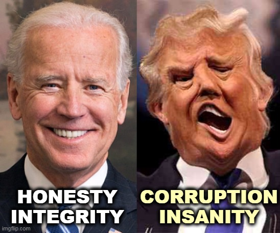 The Will of the People, and it wasn't even close | HONESTY
INTEGRITY; CORRUPTION
INSANITY | image tagged in biden,smile,honesty,integrity,trump,trash | made w/ Imgflip meme maker
