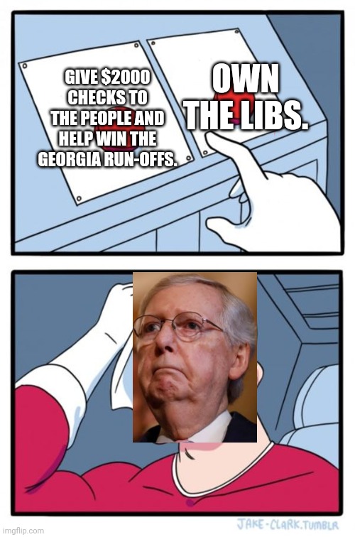 Press button hard choice  | OWN THE LIBS. GIVE $2000 CHECKS TO THE PEOPLE AND HELP WIN THE GEORGIA RUN-OFFS. | image tagged in press button hard choice | made w/ Imgflip meme maker