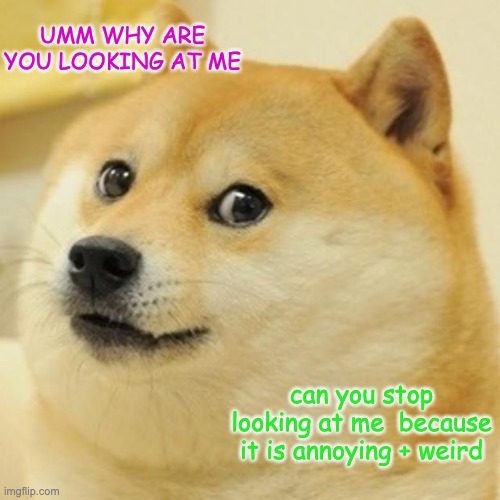 Doge | UMM WHY ARE YOU LOOKING AT ME; can you stop looking at me  because it is annoying + weird | image tagged in memes,doge | made w/ Imgflip meme maker