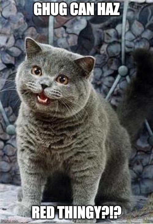 I can has cheezburger cat | GHUG CAN HAZ; RED THINGY?!? | image tagged in i can has cheezburger cat | made w/ Imgflip meme maker