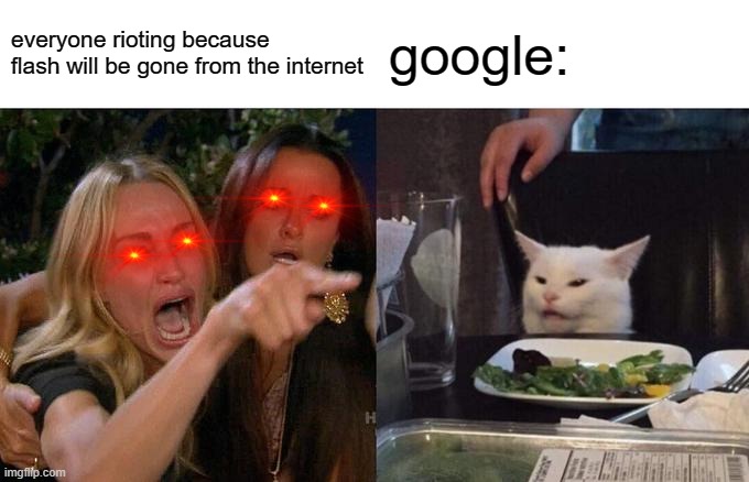 goodbye flash | everyone rioting because flash will be gone from the internet; google: | image tagged in memes,woman yelling at cat | made w/ Imgflip meme maker