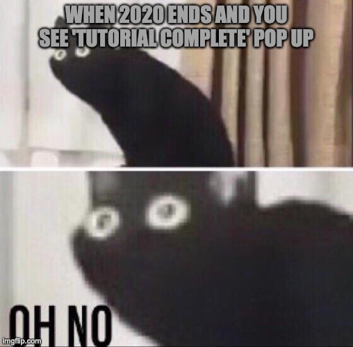 2020 is just the tutorial | WHEN 2020 ENDS AND YOU SEE 'TUTORIAL COMPLETE' POP UP | image tagged in oh no cat | made w/ Imgflip meme maker