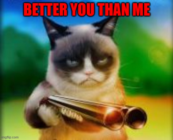 BETTER YOU THAN ME | made w/ Imgflip meme maker