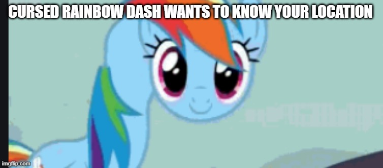 Cursed Rainbow Dash | CURSED RAINBOW DASH WANTS TO KNOW YOUR LOCATION | image tagged in cursed rainbow dash | made w/ Imgflip meme maker