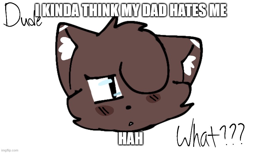 Bruh | I KINDA THINK MY DAD HATES ME; HAH | image tagged in bruh | made w/ Imgflip meme maker