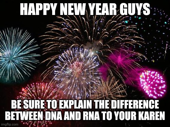 Be safe. | HAPPY NEW YEAR GUYS; BE SURE TO EXPLAIN THE DIFFERENCE BETWEEN DNA AND RNA TO YOUR KAREN | image tagged in new years | made w/ Imgflip meme maker