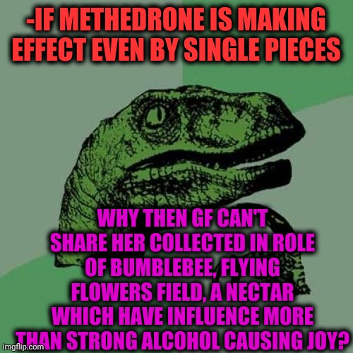 -Finding answer in broken match. | -IF METHEDRONE IS MAKING EFFECT EVEN BY SINGLE PIECES; WHY THEN GF CAN'T SHARE HER COLLECTED IN ROLE OF BUMBLEBEE, FLYING FLOWERS FIELD, A NECTAR WHICH HAVE INFLUENCE MORE THAN STRONG ALCOHOL CAUSING JOY? | image tagged in memes,philosoraptor,don't do drugs,one piece,mass effect,bumblebee | made w/ Imgflip meme maker